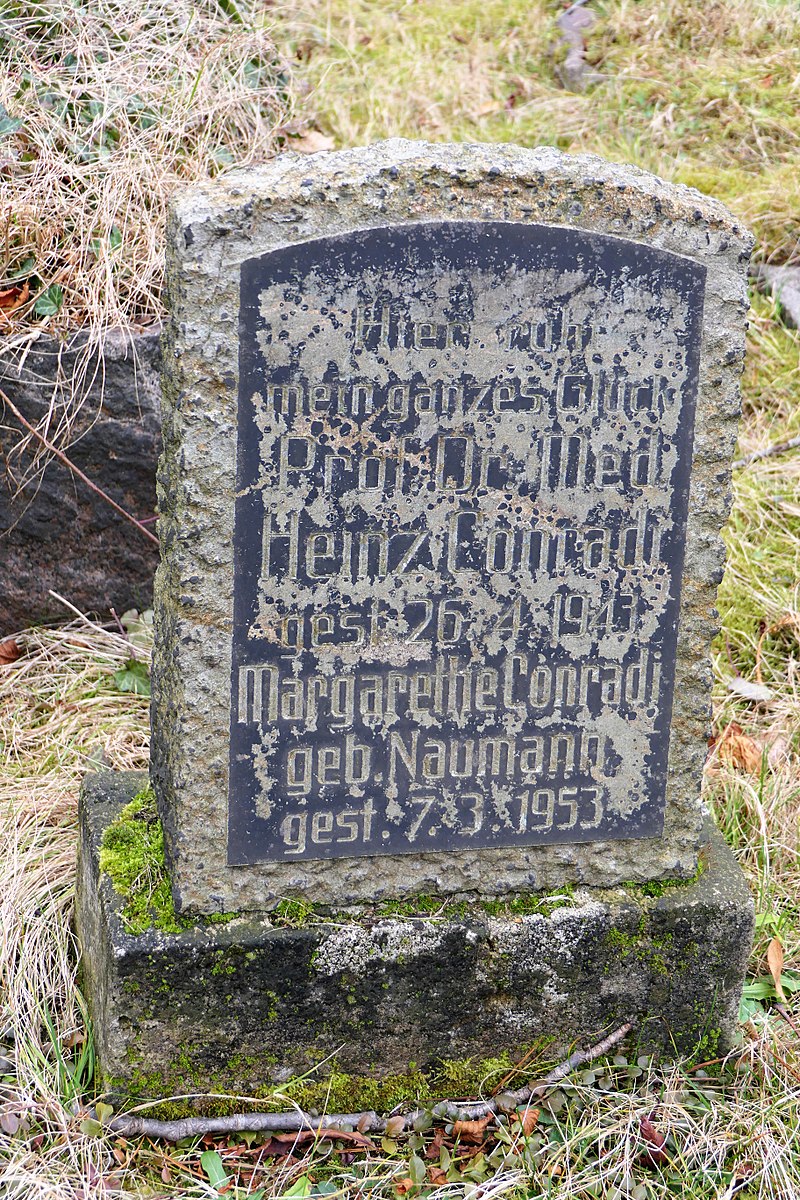 800px-Grab_von_Heinrich_Heinz_Conradi,_Neuer_Jüdischer_Friedhof_Dresden